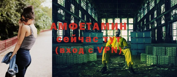 индика Осинники