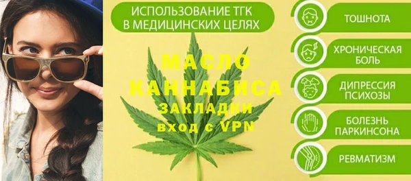 индика Осинники